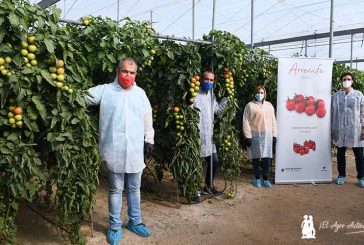 Zeraim presenta en Níjar sus nuevos tomates Cobalto y Arrecife