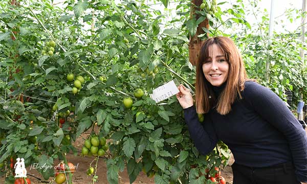 Eva Fernández con tomate Evita de Agrinature. /joseantonioarcos.es