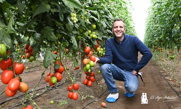 Carlos González con tomate Evita. /joseantonioarcos.es
