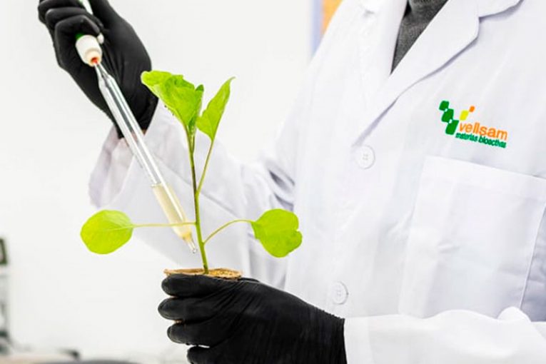 Vellsam cierra 2020 con nuevos laboratorios y más delegaciones