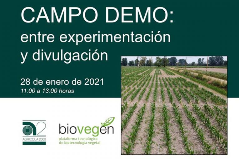 Día 28 de enero. Campo Demo: entre experimentación y divulgación
