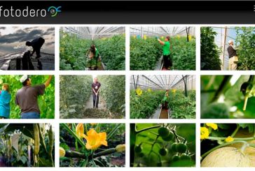 La web El Fotodero difunde en imágenes la vida del invernadero