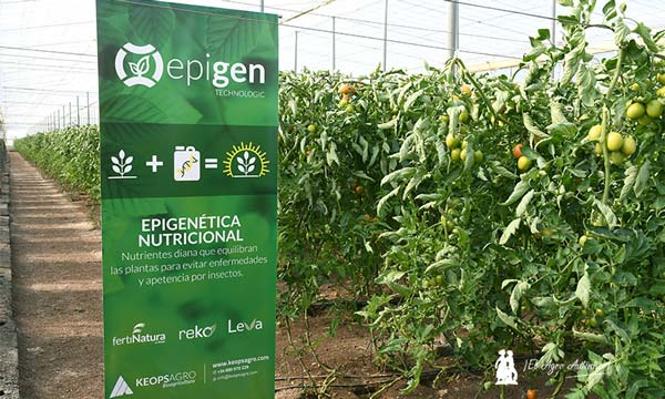 Epigen Technologic en invernaderos de Almería. /joseantonioarcos.es