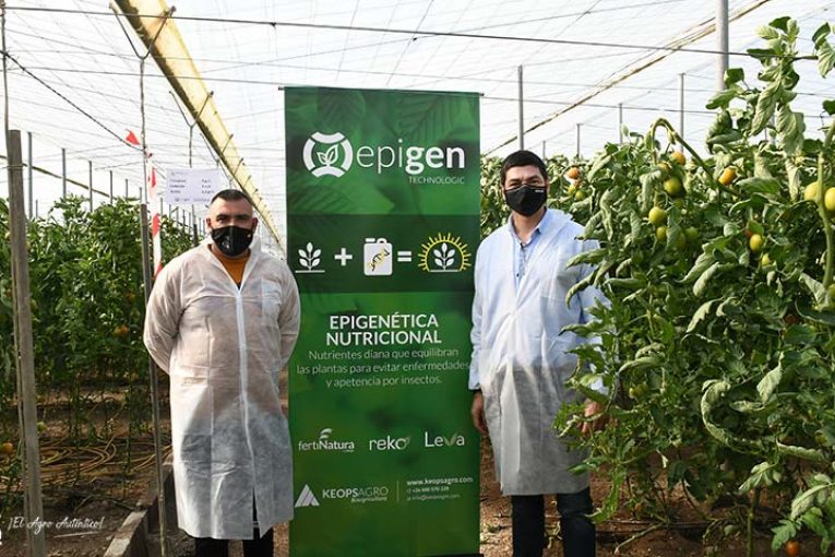 Ensayos de campo con prebióticos para control de botrytis y mildiu