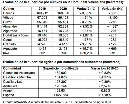 Evolución de la superficie agrícola por hectáreas en la Comunidad Valenciana. /joseantonioarcos.es