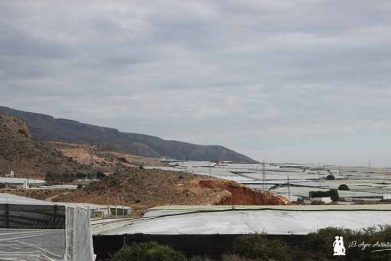 El agro almeriense despide 2020 con más del 15% de pérdida de renta