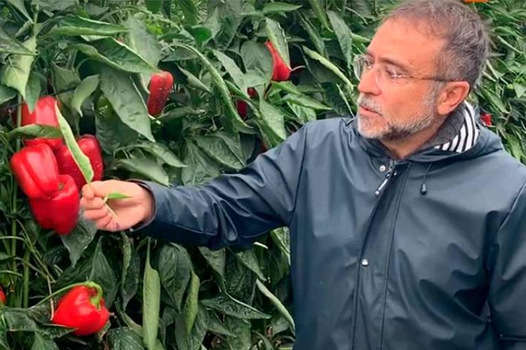 La estrategia de Ecoculture ante las bajas temperaturas