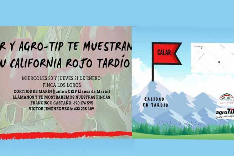 Días 20 y 21 de enero. Jornadas de pimiento california de AgroTip