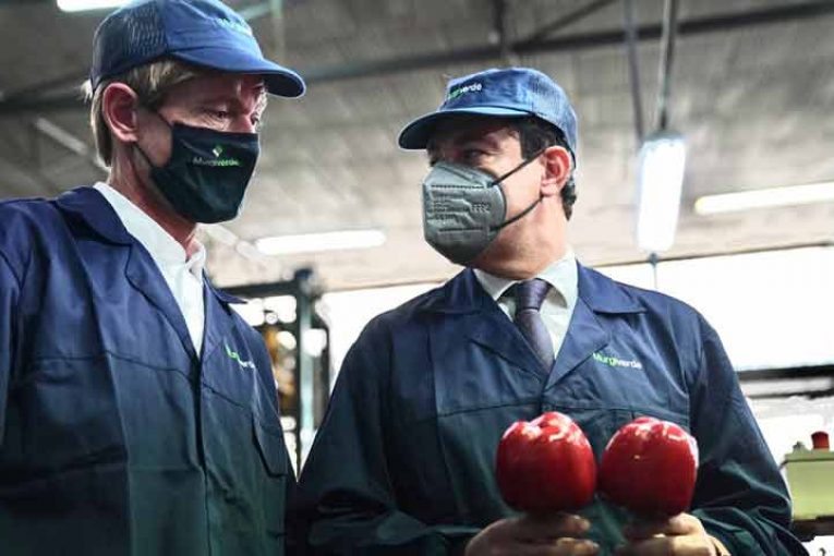 Murgiverde recibe casi 6 millones € para su modernización