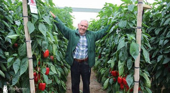 Miguel Pérez Vargas es un agricultor de El Ejido, socio de la cooperativa Ejidomar. /joseantonioarcos.es