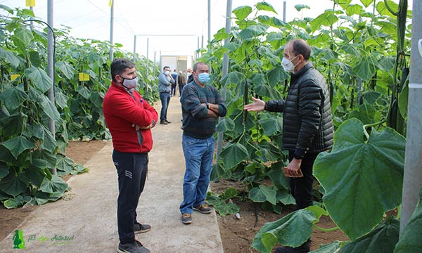 Pedro Pleguezuelo con agricultores en las jornadas de pepino de Randall. /joseantonioarcos.es