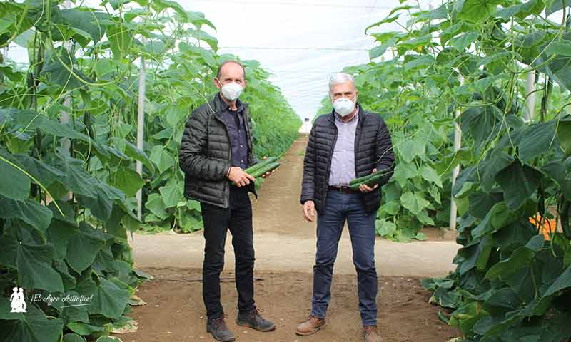 Pedro Pleguezuelo, EAME Portfolio manager melon & cucumber en Syngenta, con José Marín, editor del vademécum de semillas, Portagrano. /joseantonioarcos.es