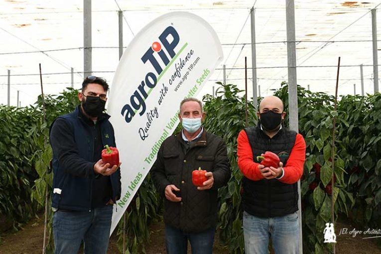 AgroTIP de la mano de Lupión y Rodríguez con el pimiento Calar