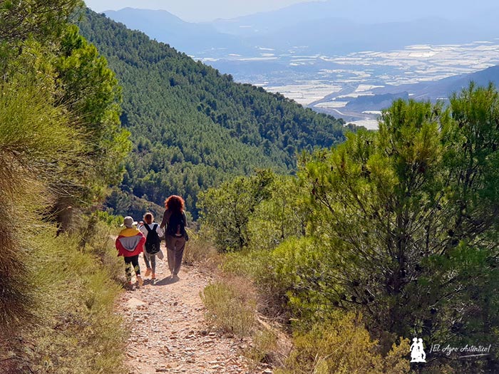 Rutas de senderismo por Castala y Sierra de Gádor. /joseantonioarcos.es