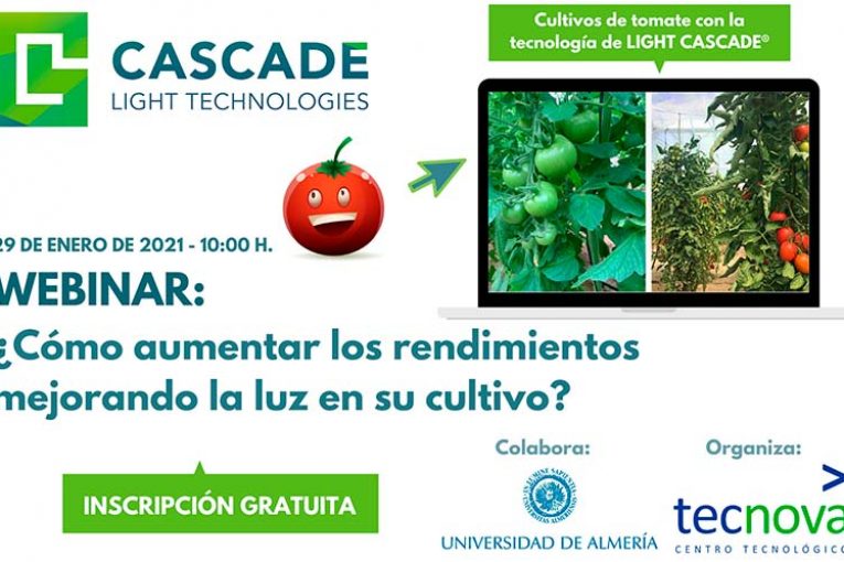 Día 29 de enero. ¿Cómo aumentar los rendimientos mejorando la luz en su cultivo?