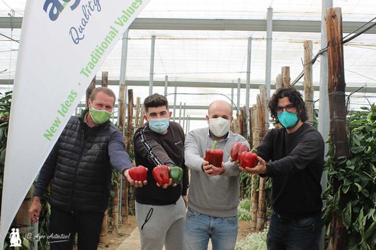 Calar, Bacares y Filabres son pimientos de AgroTIP