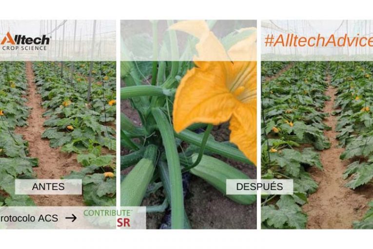 Alltech registra un nuevo bioestimulante para mejora de suelo