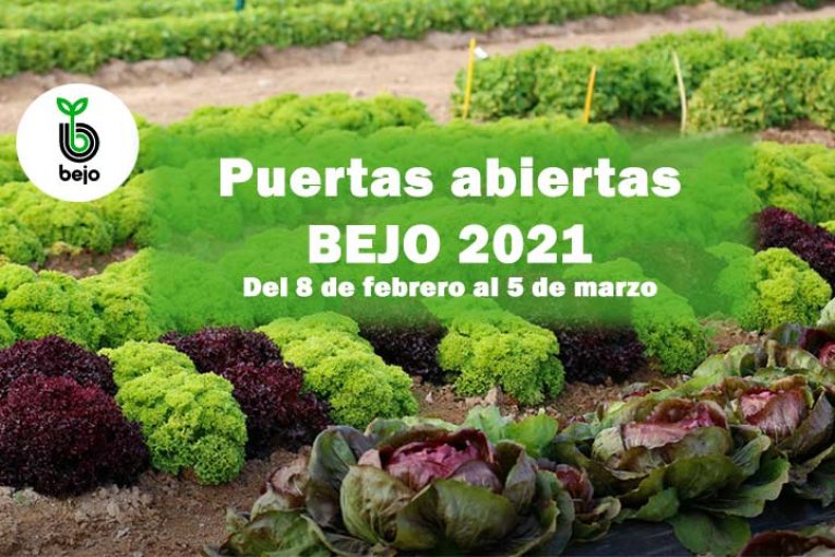 Del 8 de febrero al 15 de marzo. Jornadas de puertas abiertas de Bejo