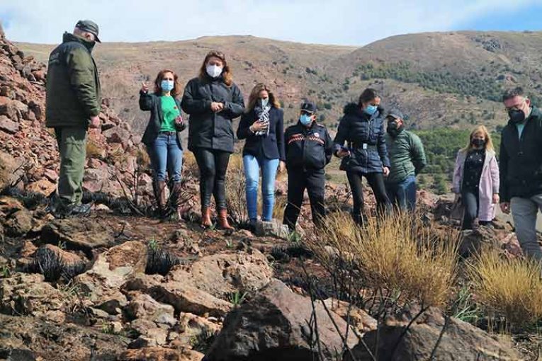 Anuncian proyecto de restauración tras el incendio de Sierra de Gádor