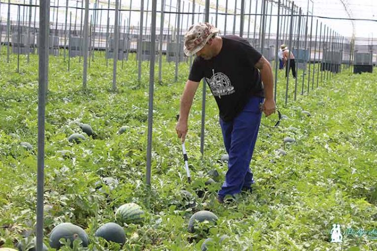 La primavera viene este año con retraso