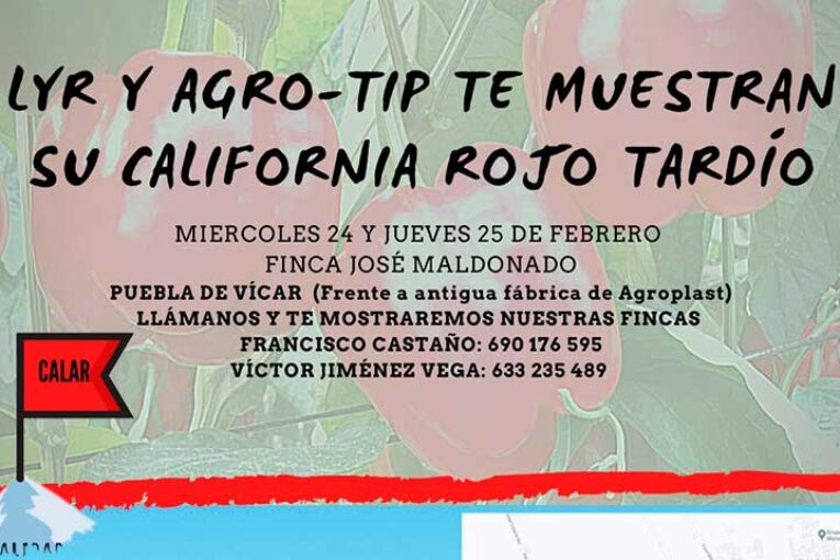 Del 24 al 25 de febrero. Jornada de pimiento california rojo de AgroTip