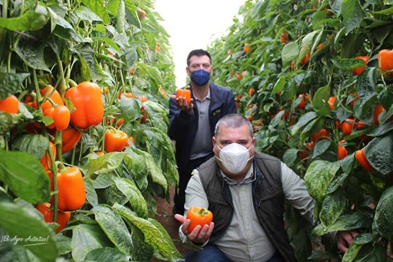 El primer naranja de Ramiro Arnedo