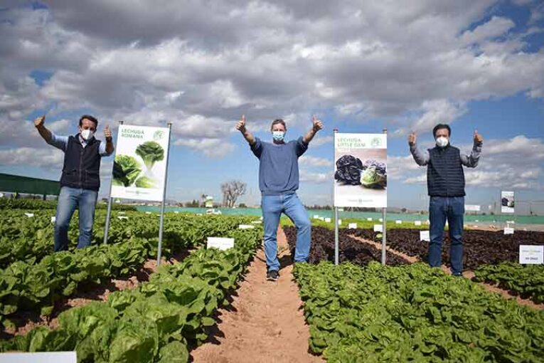 Novedades y variedades 'top' en hoja de Ramiro Arnedo