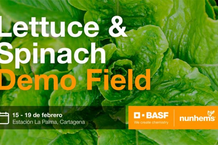Del 15 al 19 de febrero. Demo Field de lechuga y espinaca' de Nunhems