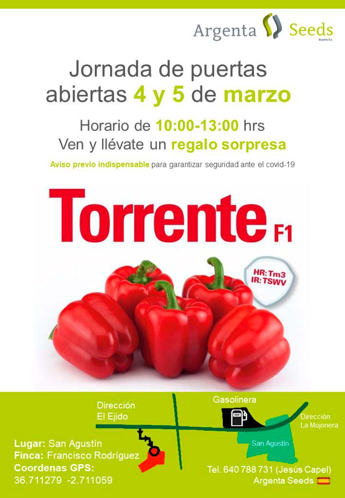 Pimiento Torrente de Argenta Seeds-joseantonioarcos.es