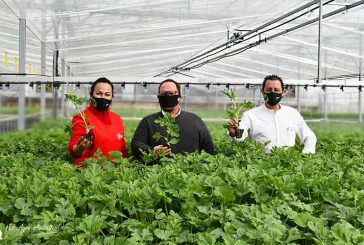 El nuevo semillero Victoria se hermetiza con mallas anti-insectos