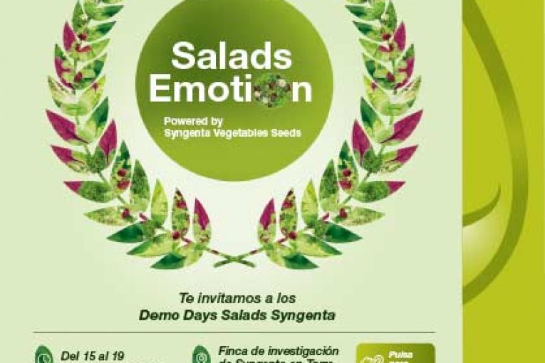 Del 15 al 19 de febrero. Demo Days Salads Syngenta