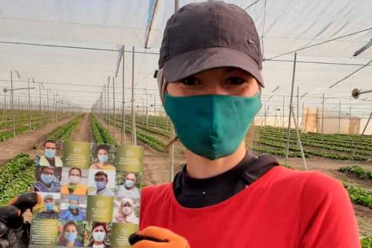 La vacunación en el campo, ¿para cuándo?