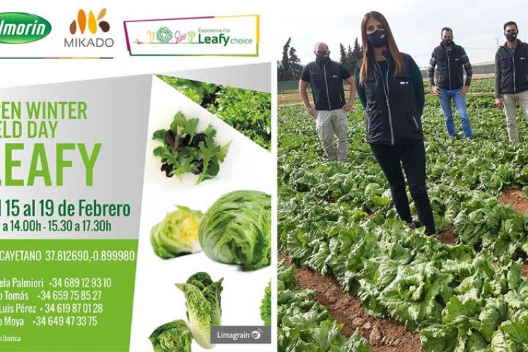 Del 15 al 19 de febrero. Jornadas de lechuga Vilmorín Mikado