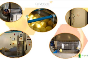 Citrosol amplía su planta piloto incrementando su capacidad experimental en un entorno real de central hortofrutícola