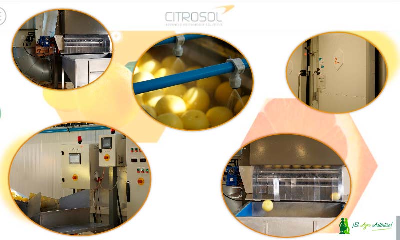 Citrosol amplía su planta piloto incrementando su capacidad experimental en un entorno real de central hortofrutícola