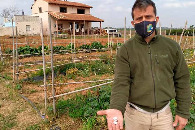 El garrofón valenciano se reivindica frente al de terceros países