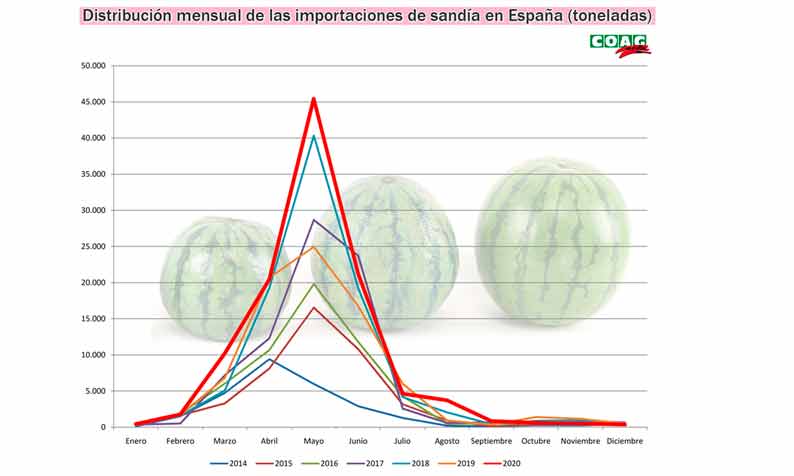 Distribución mensual de las importaciones de sandía en España por toneladas. /joseantonioarcos.es