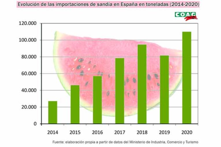 Se dispara la importación de sandía sobre todo marroquí