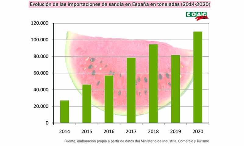 Evolución de las importaciones de sandía en España en toneladas. /joseantonioarcos.es