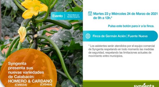 Calabacín Homero y Cardano de Syngenta-joseantonioarcos.es