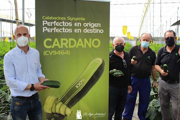 El nuevo Cardano de Syngenta complementa al referente Logos