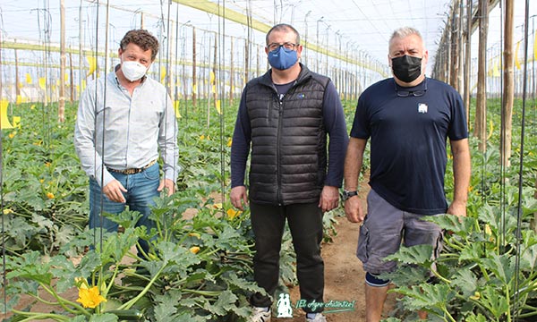 José Luis Ruipérez de Rijk Zwaan con los agricultores David López y Paco Sánchez. /joseantonioarcos.es