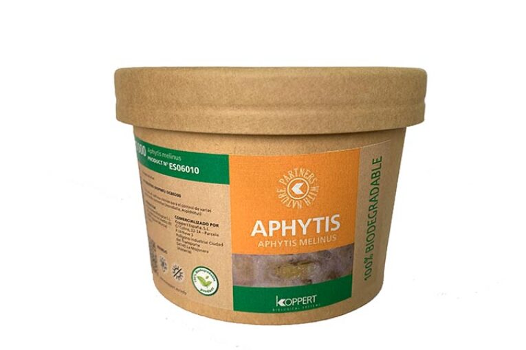 Cartón y bioplástico PLA en un envase compostable para cítricos