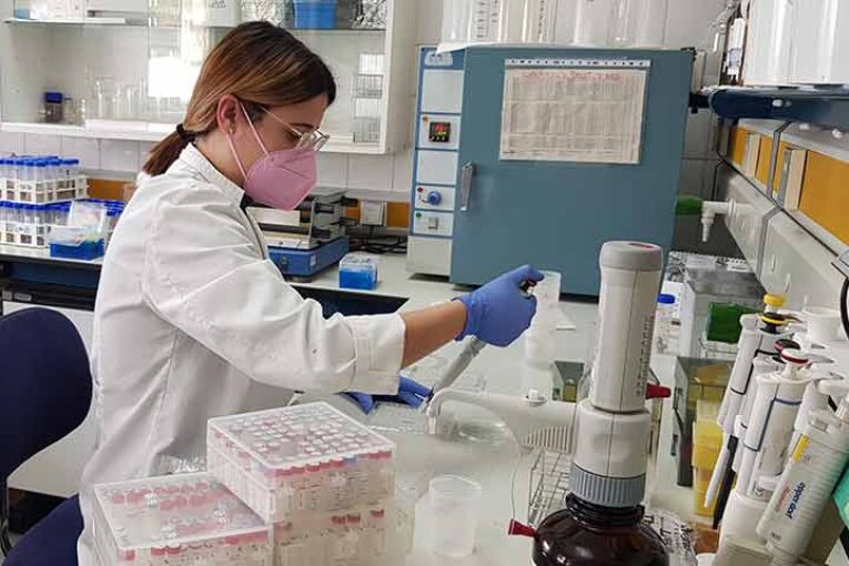 Labcolor, acreditado para análisis del virus del rugoso del tomate