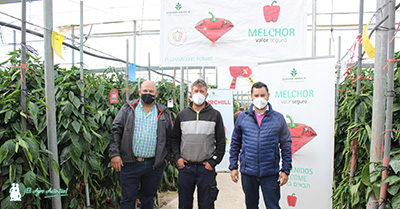 Los agricultores Juan Justicia y Salvador Martín, de Rociani Export, con José Arellano de Zeraim. /joseantonioarcos.es