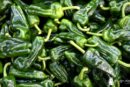 Marruecos exporta ya el 30% del equivalente a todo el pimiento almeriense