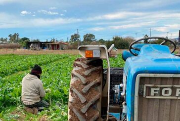 Productores de Gavà y Viladecans temen perder sus tierras de cultivo