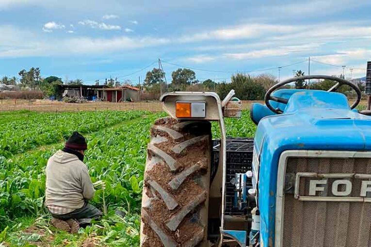 Productores de Gavà y Viladecans temen perder sus tierras de cultivo
