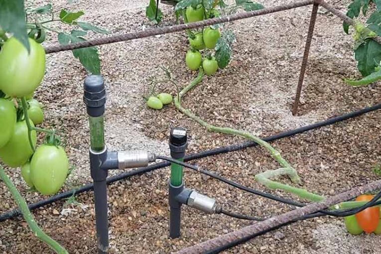 Un agricultor de Vicasol, primer certificado de riego eficiente H3