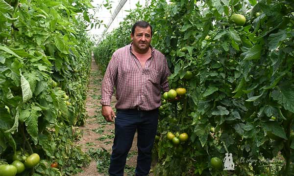 Juan Ibáñez, agricultor de Matagorda. /joseantonioarcos.es